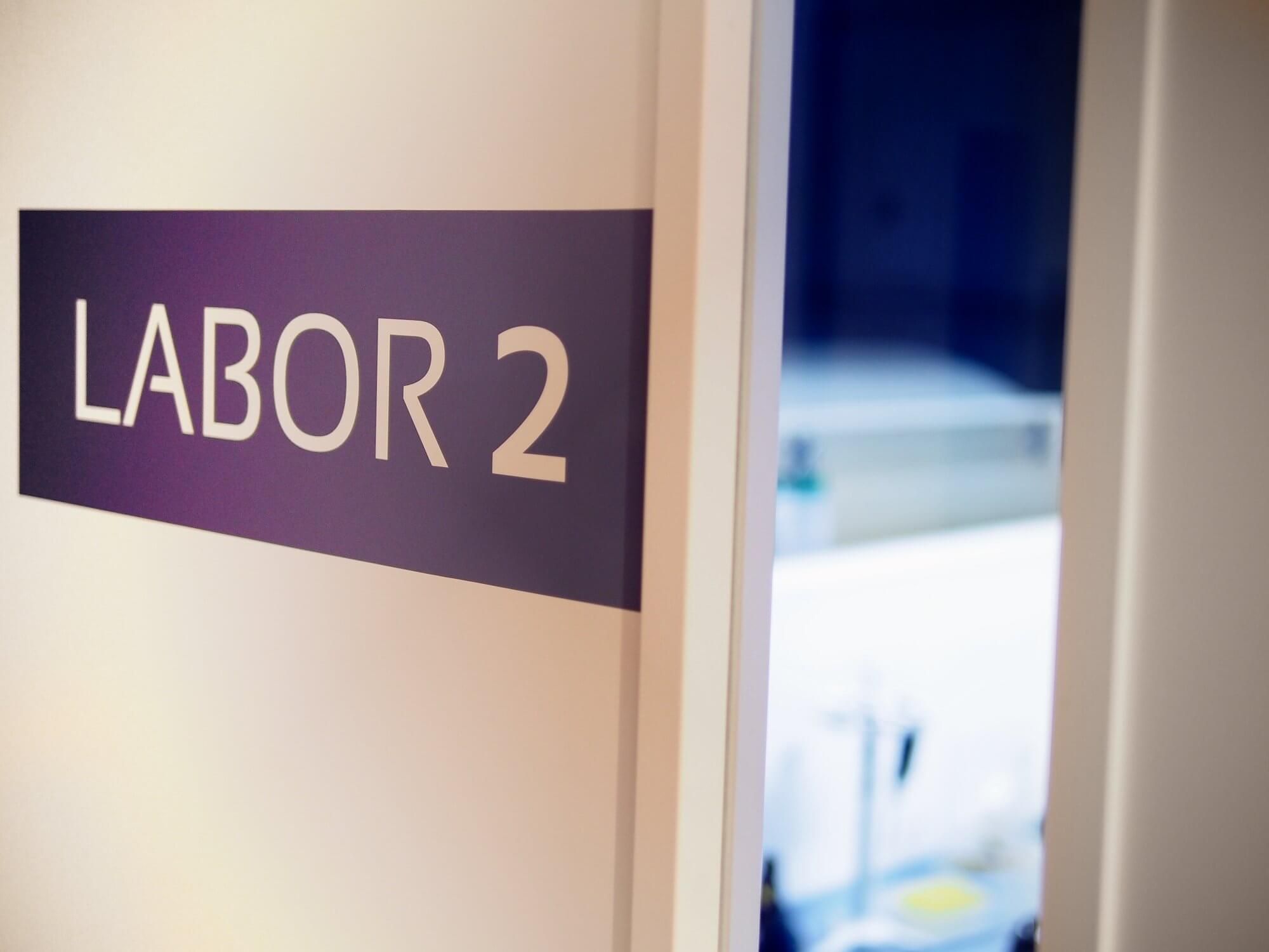 Labor 2